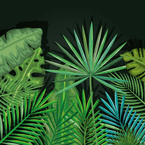 Tropische en exotische palmen bladeren — Stockvector