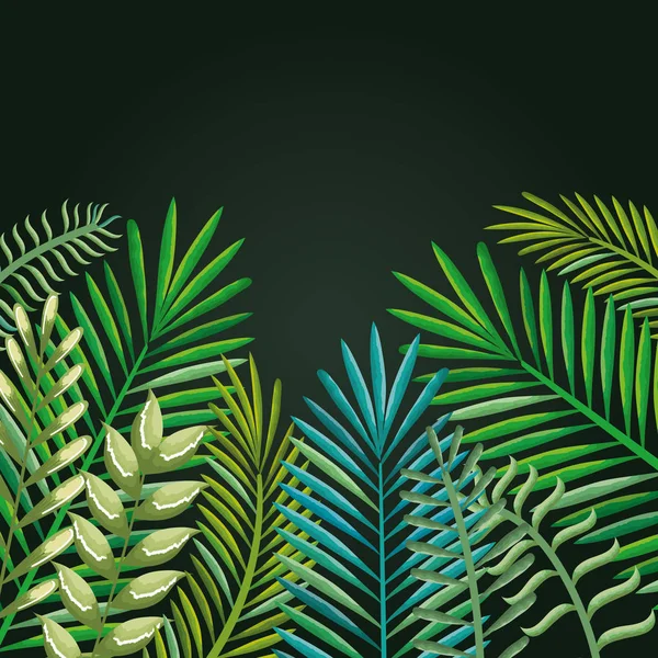 Folhas de palmeiras tropicais e exóticas — Vetor de Stock