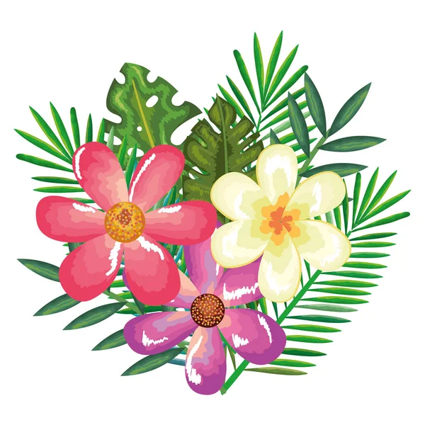 Tropical and exotics flowers and leafs — Stock Vector