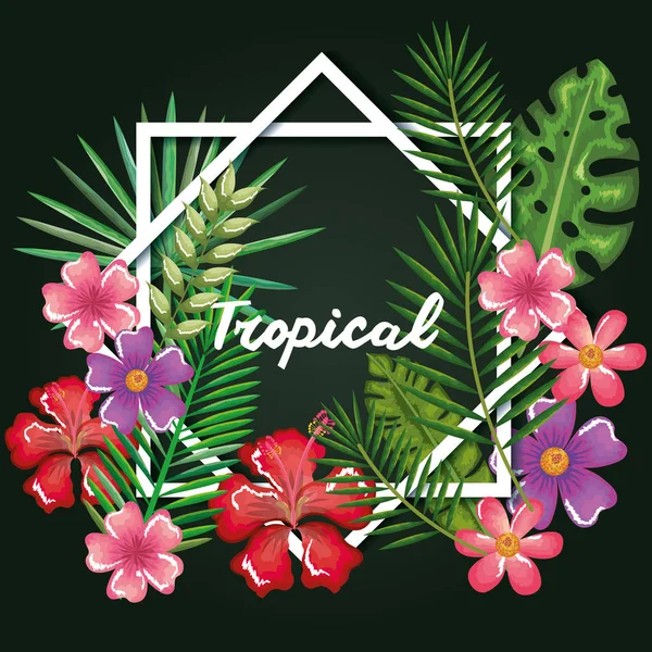 Tropische und exotische Blumen und Blätter — Stockvektor