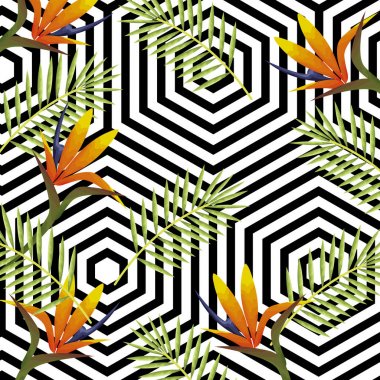 arka plan masaüstü bilgisayar izole simgesiyle tropikal çiçek