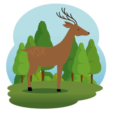 vahşi hayvan karikatür