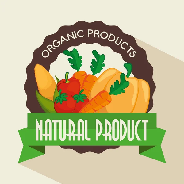 Diseño de verduras ecológicas — Vector de stock