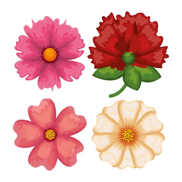 Ensemble fleurs motif fond — Image vectorielle