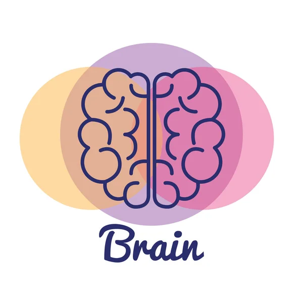 ไอคอนแนวคิดสมองสร้างสรรค์ — ภาพเวกเตอร์สต็อก