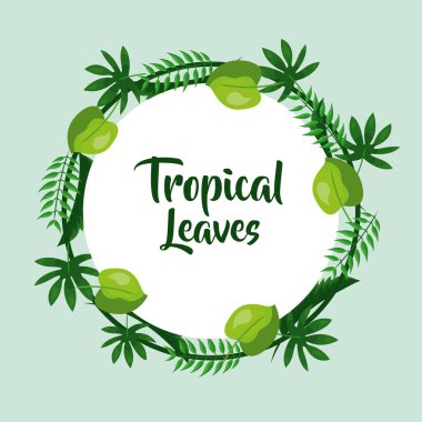 tropikal yaprak poster kartı yuvarlak dekorasyon