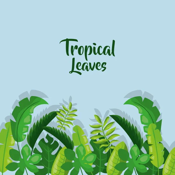 Folhas tropicais fronteira cartão decoração com sombra —  Vetores de Stock