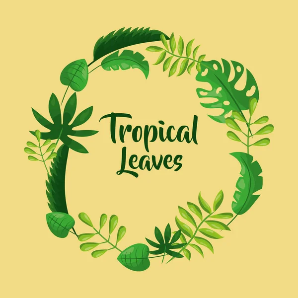 Cartelera hojas tropicales decoración redonda — Vector de stock