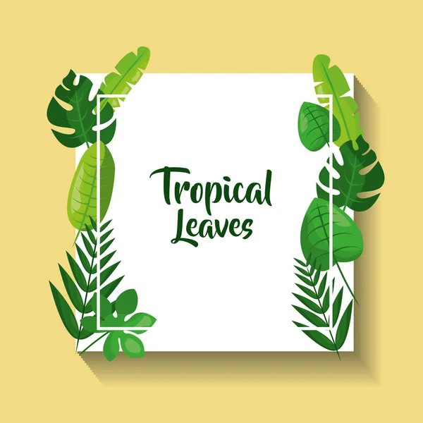 Feuilles tropicales carte flore décoration naturelle — Image vectorielle