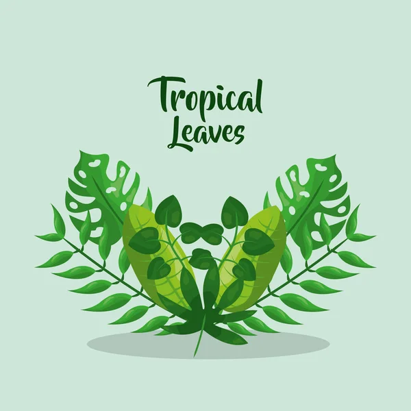 Feuilles tropicales branche palmier botanique carte — Image vectorielle