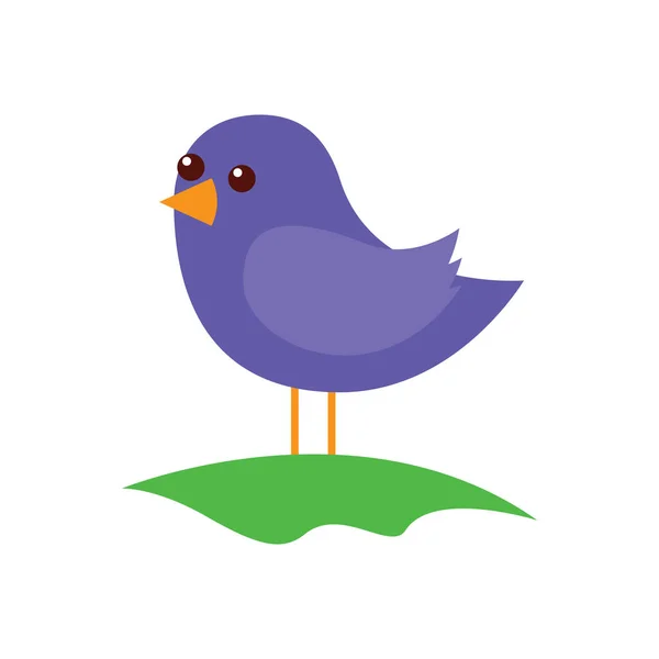 Carino uccello in piedi nel campo cartone animato — Vettoriale Stock