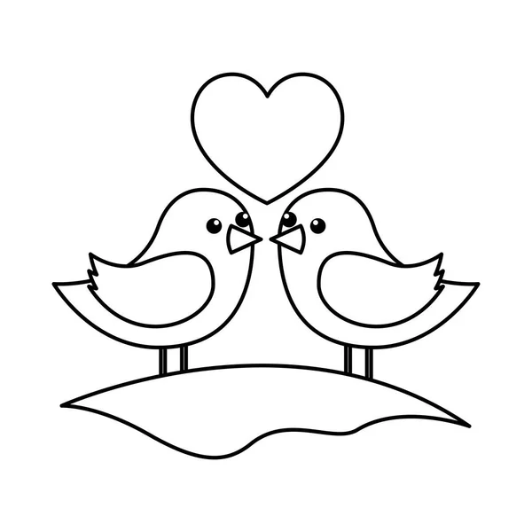 Lindo pareja aves juntos con corazón en el campo — Vector de stock