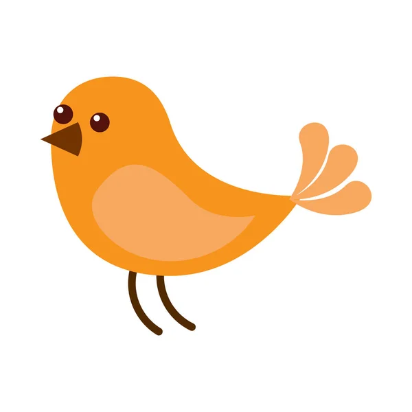 Lindo pájaro animal fauna imagen — Vector de stock