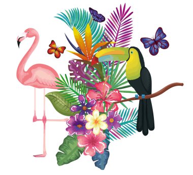 tropikal ve egzotik Bahçe Flaman ve toucan