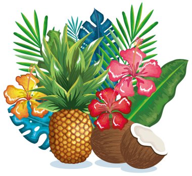 ananas ve hindistancevizi ile tropikal Bahçe