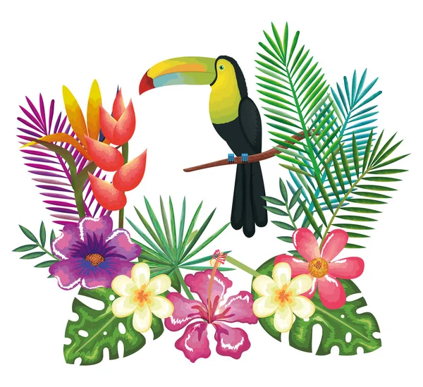 Fiori tropicali ed esotici con toucan — Vettoriale Stock