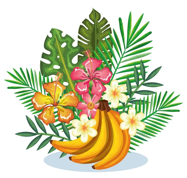 バナナ クラスターのあるトロピカル ガーデン — ストックベクタ