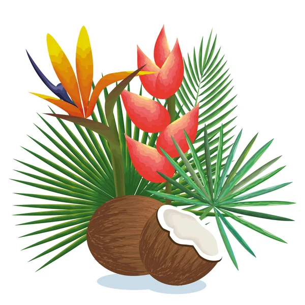 Giardino tropicale con noce di cocco — Vettoriale Stock