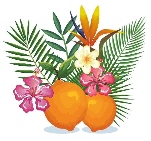 Jardin tropical avec orange — Image vectorielle