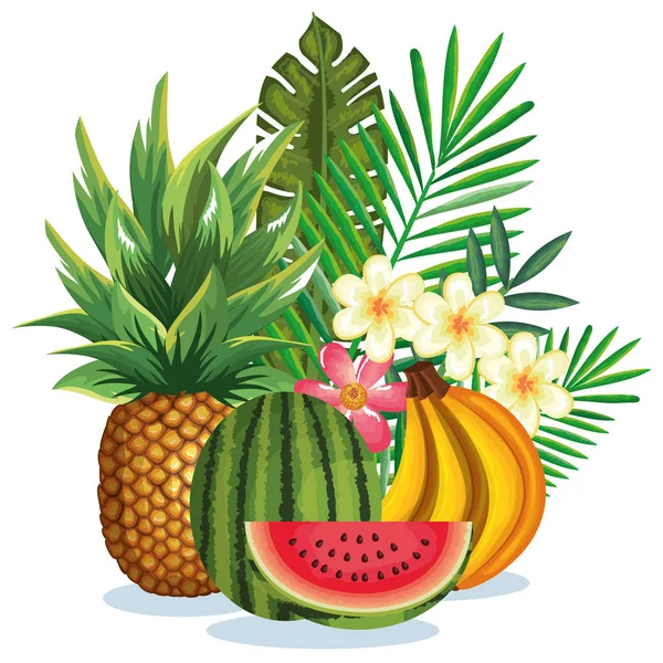 Тропический сад с фруктами — стоковый вектор