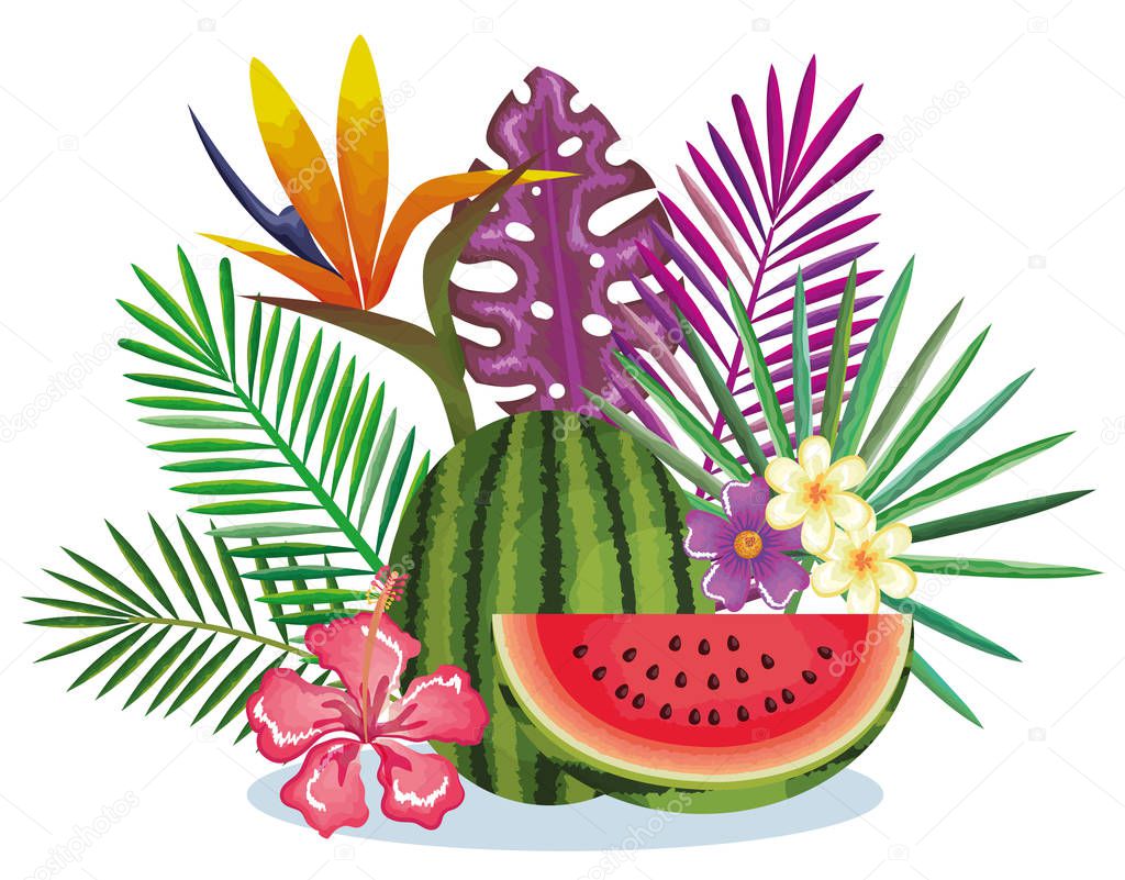 tropical garden with watermelon