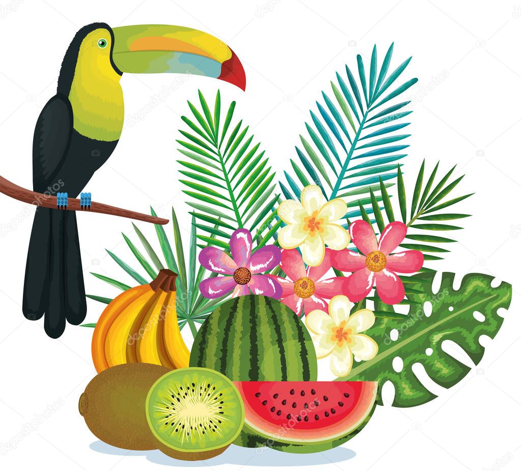 tropical garden with fruits and toucan
