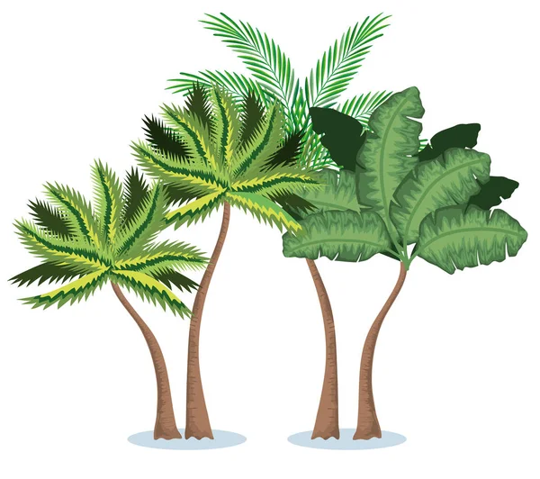 Palme tropicali ed esotiche — Vettoriale Stock