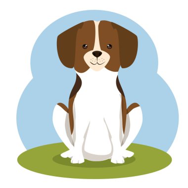 köpek evcil hayvan yetiştirilen