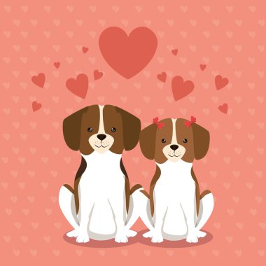 Köpekler evde beslenen hayvan dostu Çift