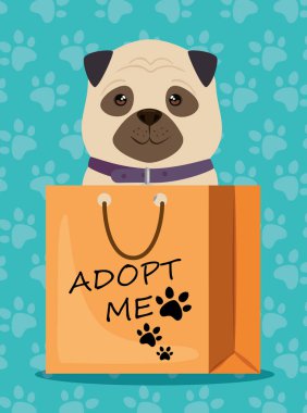 kağıt çanta Pet dostu köpek