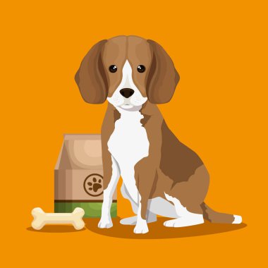 köpek ile kemik ve gıda torbası evde beslenen hayvan dostça