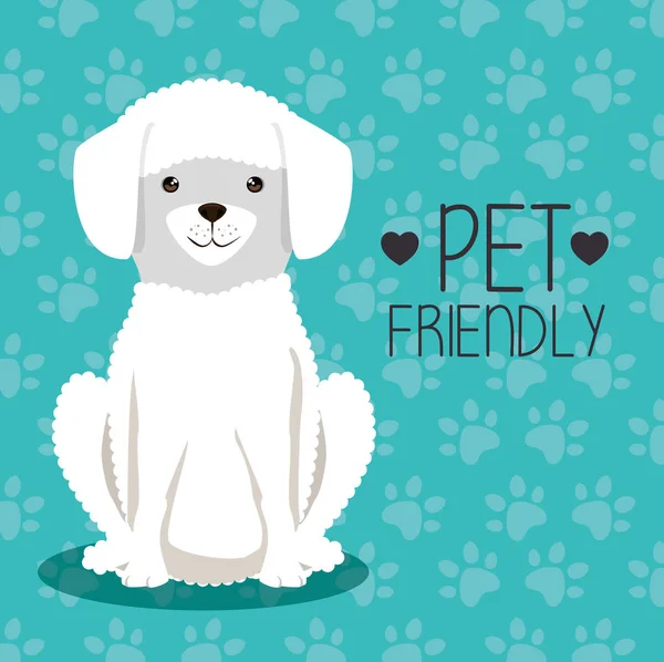 Cão criado pet friendly — Vetor de Stock