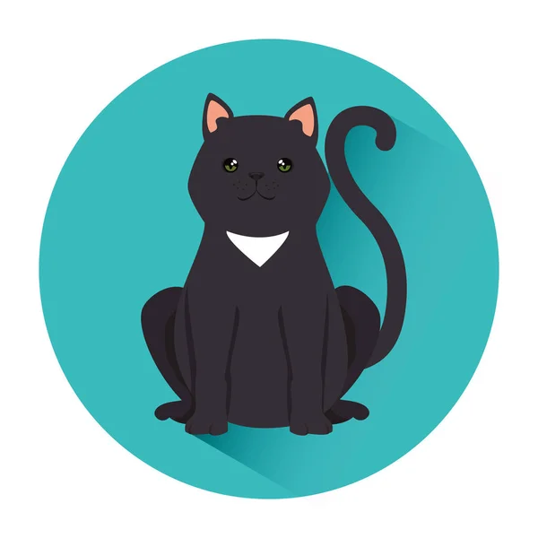 Lindo gato mascota friendly — Vector de stock