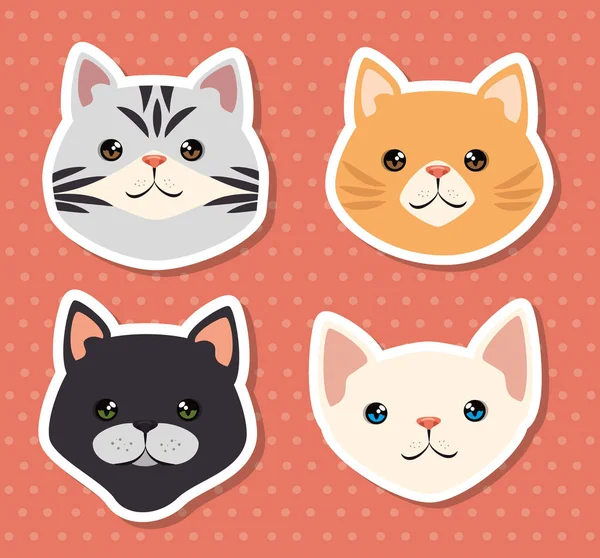 Lindo gatos mascotas friendly — Archivo Imágenes Vectoriales