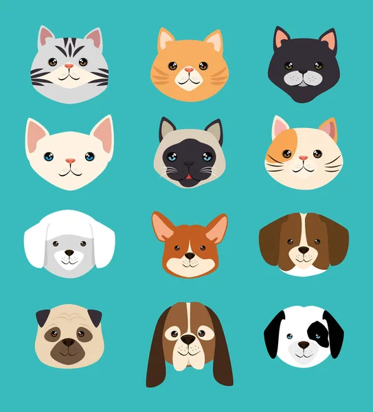 Chiens et chats animaux acceptés — Image vectorielle