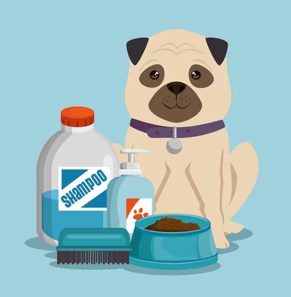 Tienda de mascotas productos set iconos — Vector de stock