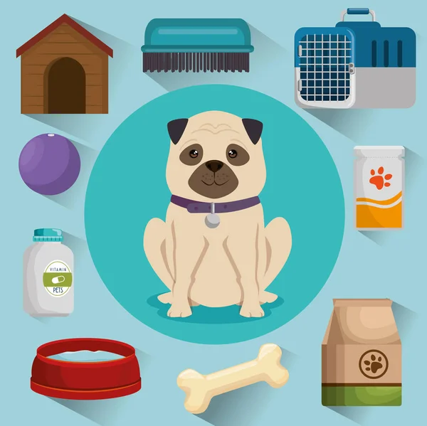 Tienda de mascotas productos set iconos — Archivo Imágenes Vectoriales