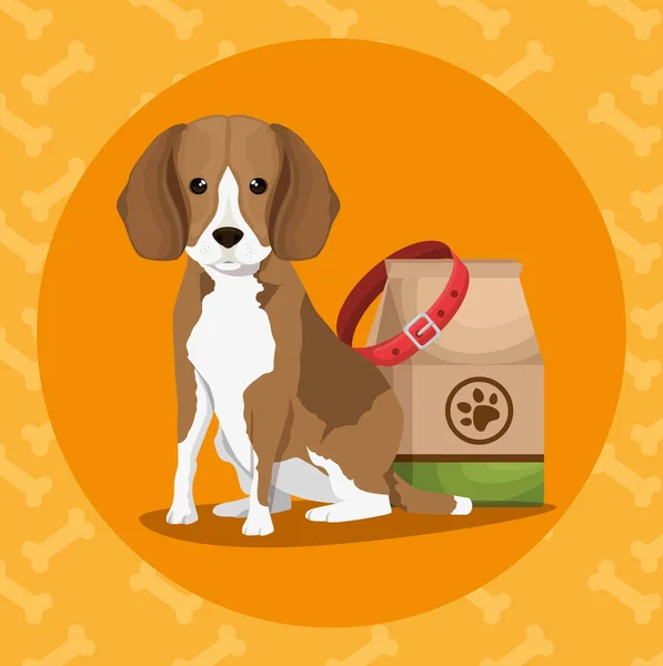 Pet shop produtos conjunto ícones — Vetor de Stock