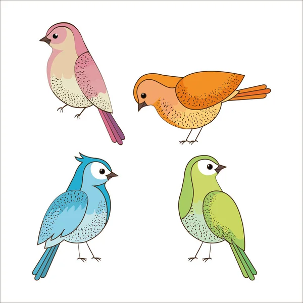 Group of cute birds drawn — Stock Vector