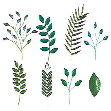 bitki set vintage simgeler yapraklar