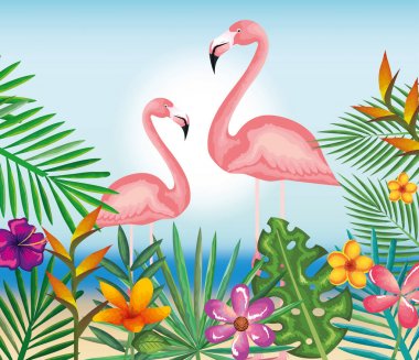 Flaman ile tropikal ve egzotik Bahçe