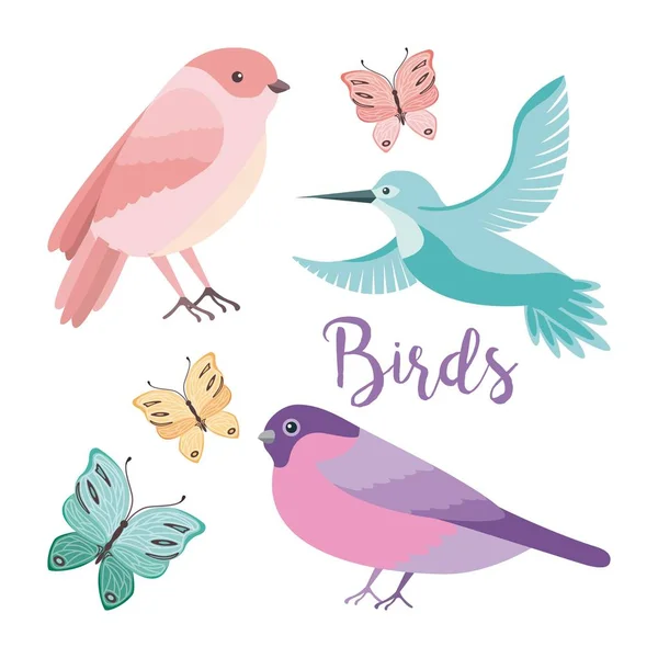 Oiseaux mignons papillons décoration naturelle — Image vectorielle