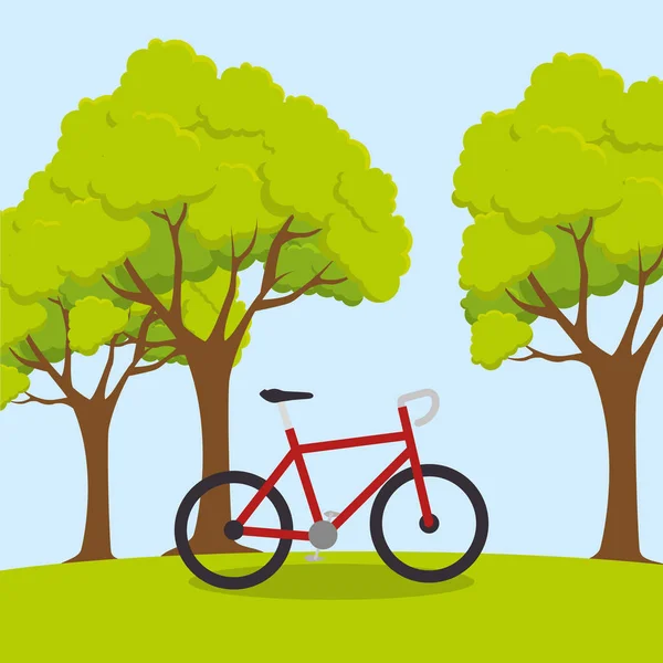 Bicicleta deporte bienestar estilo de vida — Vector de stock