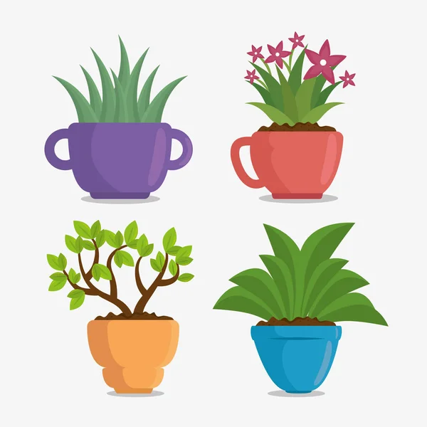 Planta de sala bonito em vaso —  Vetores de Stock