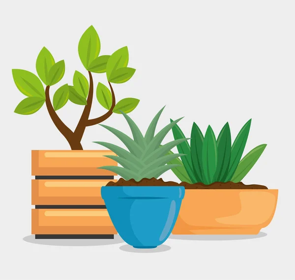 Cute houseplant in pot — Stock Vector