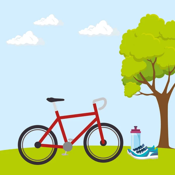 Bicicleta deporte bienestar estilo de vida — Vector de stock