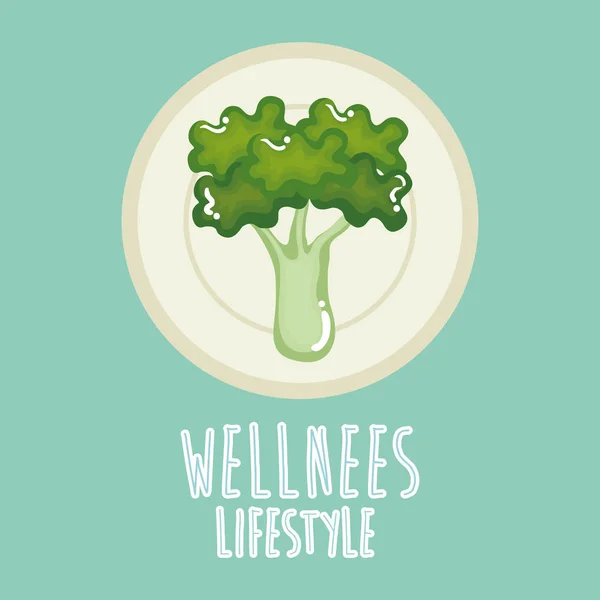 Broccoli vegetable wellness lifestyle — Stock Vector