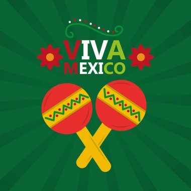 Viva Meksika müzik marakas kutlama poster davet