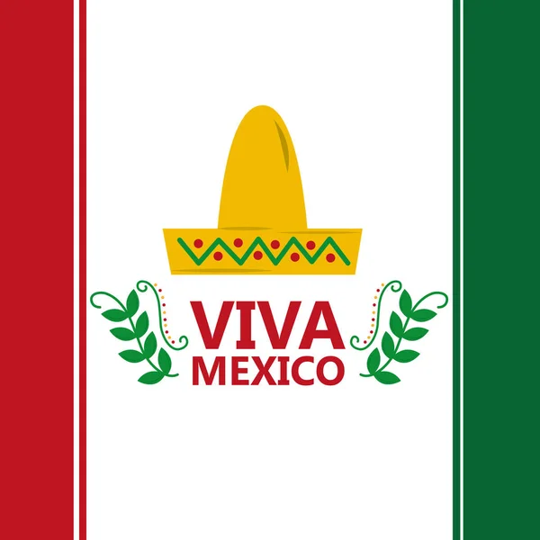 Viva mexico bandera sombrero traje tradicional imagen — Vector de stock