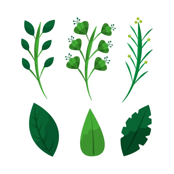집합이 녹색 잡 초 잎 분 지 식물 — 스톡 벡터